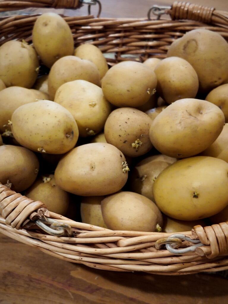 Wicker basket full of potatoes with small sprouting eyes