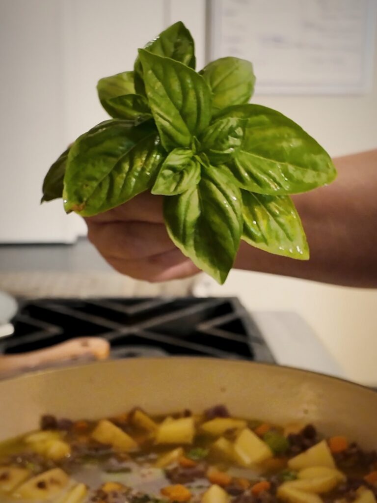 Hand holding a sprig of fresh basil over a pot of simmering potatoes, ground beef, and vegetables.