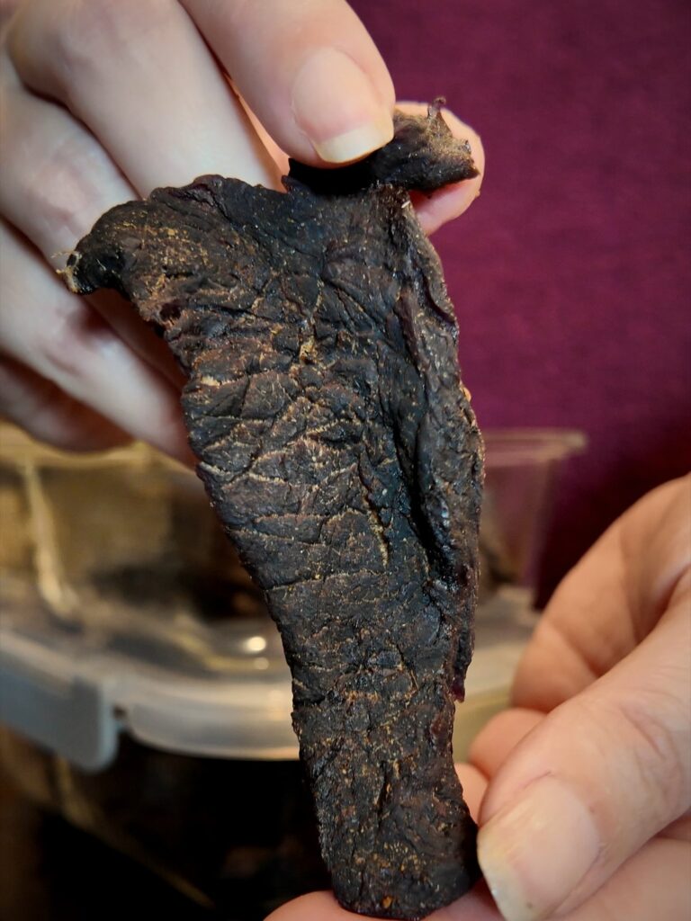 Hand holding a piece of homemade venison jerky above a storage container