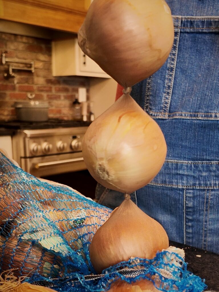 Yellow onions knotted in pantyhose and hanging in a line above a mesh bag of onions